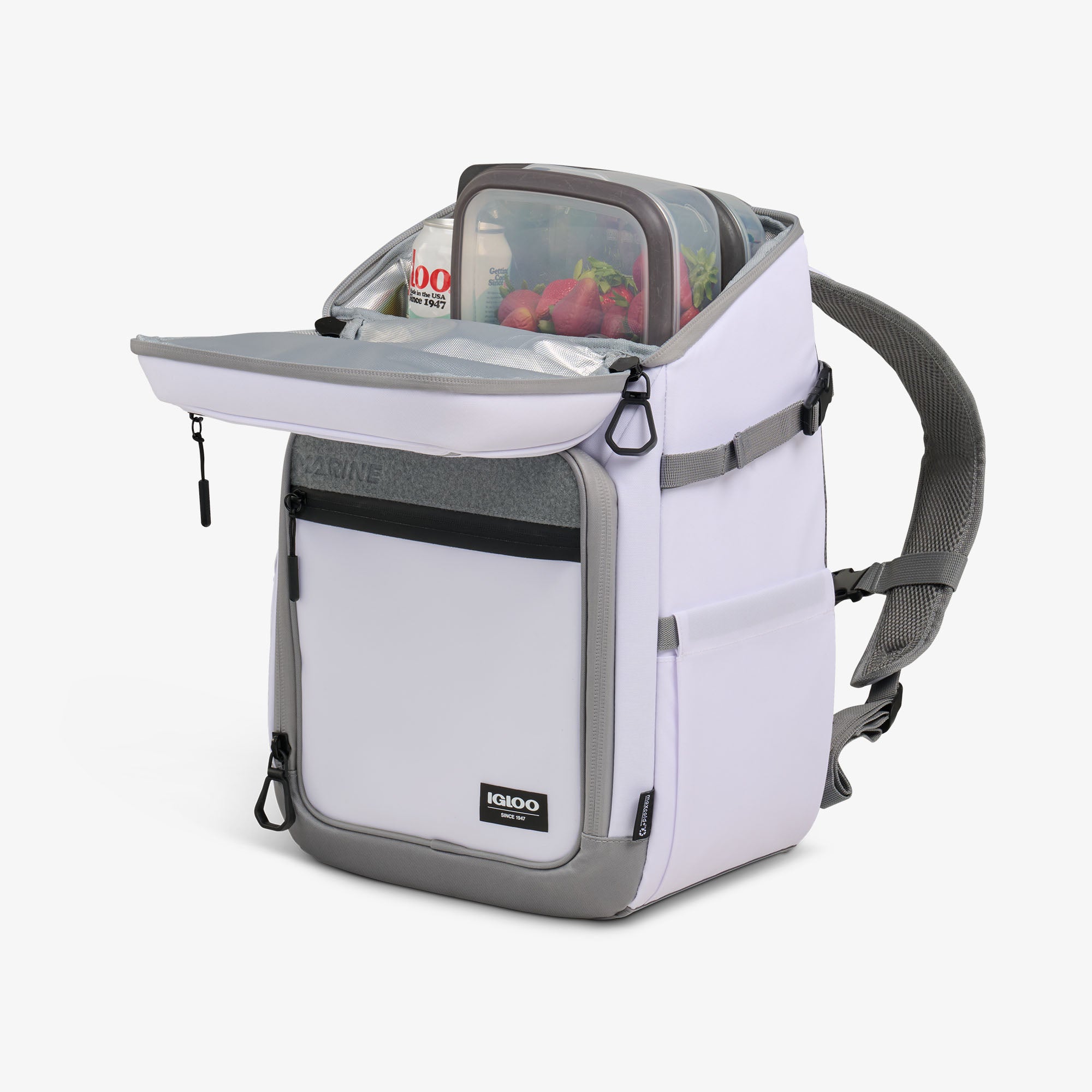 igloo-marine-30-can-backpack-sac-dos-isotherme-30-canettes-pour-p-che-tanche-aux image 4